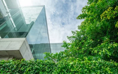 What Are ‘Healthy Buildings’ & How Do They Impact People & the Environment?